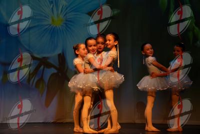 SHOW_00375.jpg